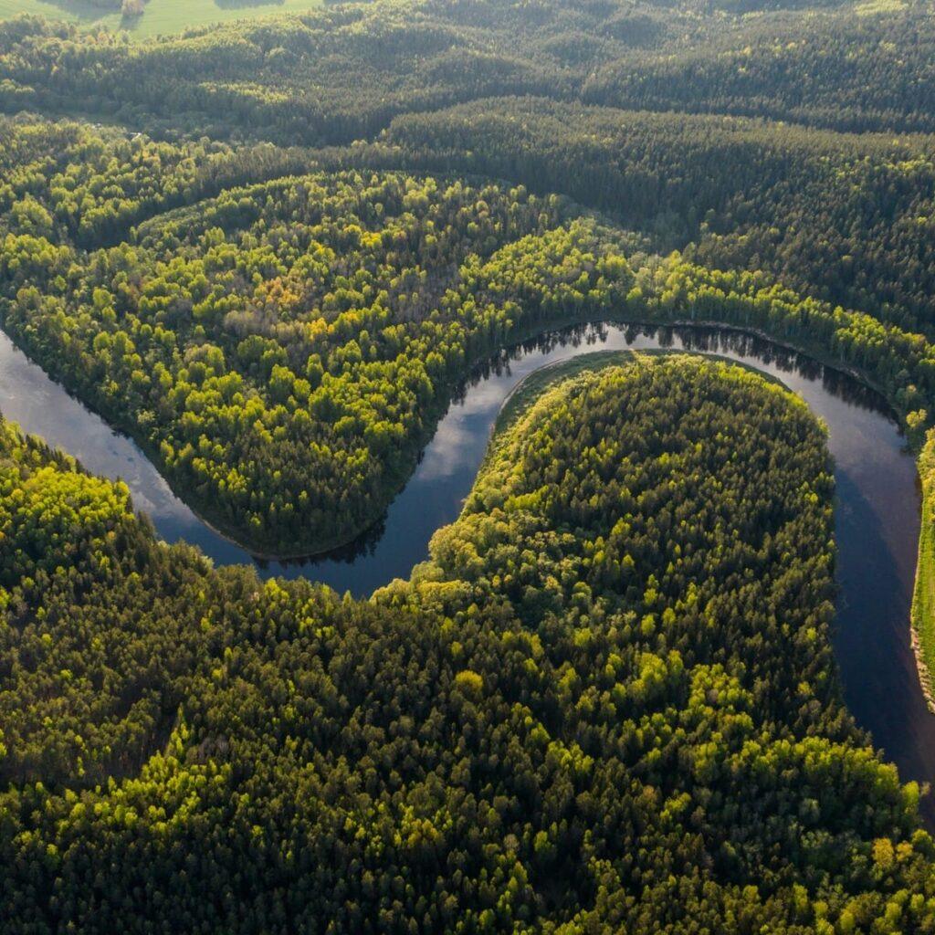 Aerial view of winding river cutting through dense Amazon rainforest