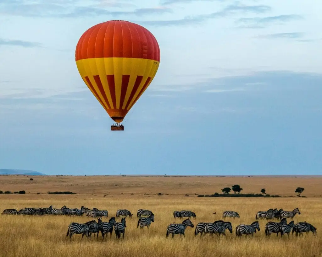 Hot air balloon flying over zebras in the African savannah during a wildlife safari