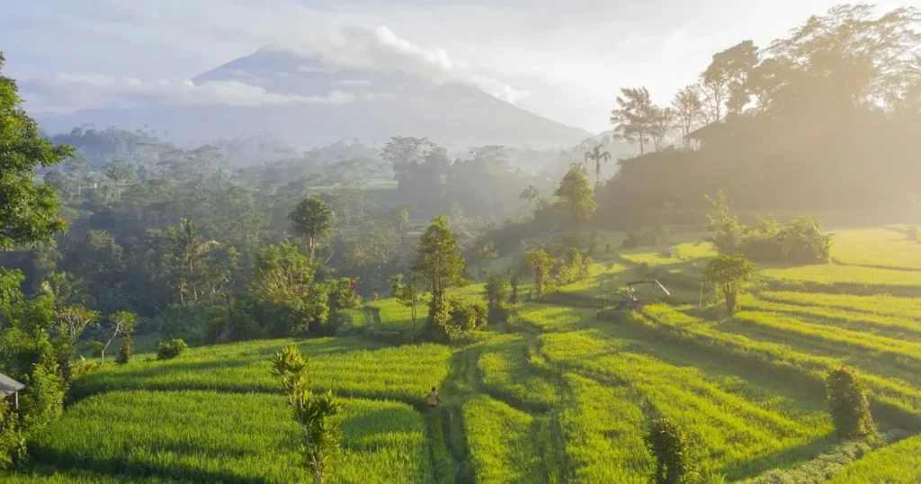 things to do in bali