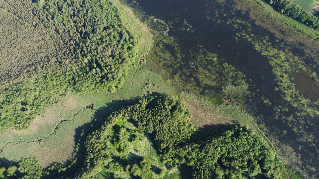 Aerial shot of Apopka Wildlife Drive winding through wetlands for nature photography.