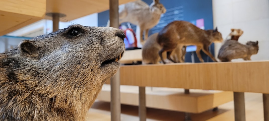 Guests taking wildlife photos and exploring conservation displays at the museum.
