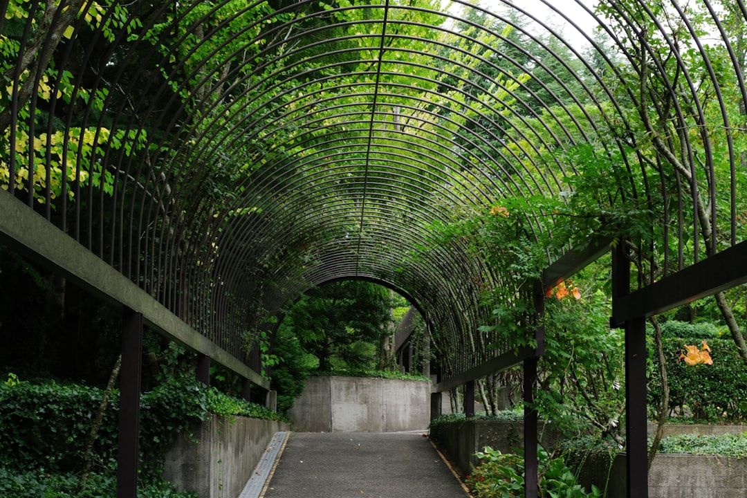 Heard Natural Science Museum entrance surrounded by native Texas plants