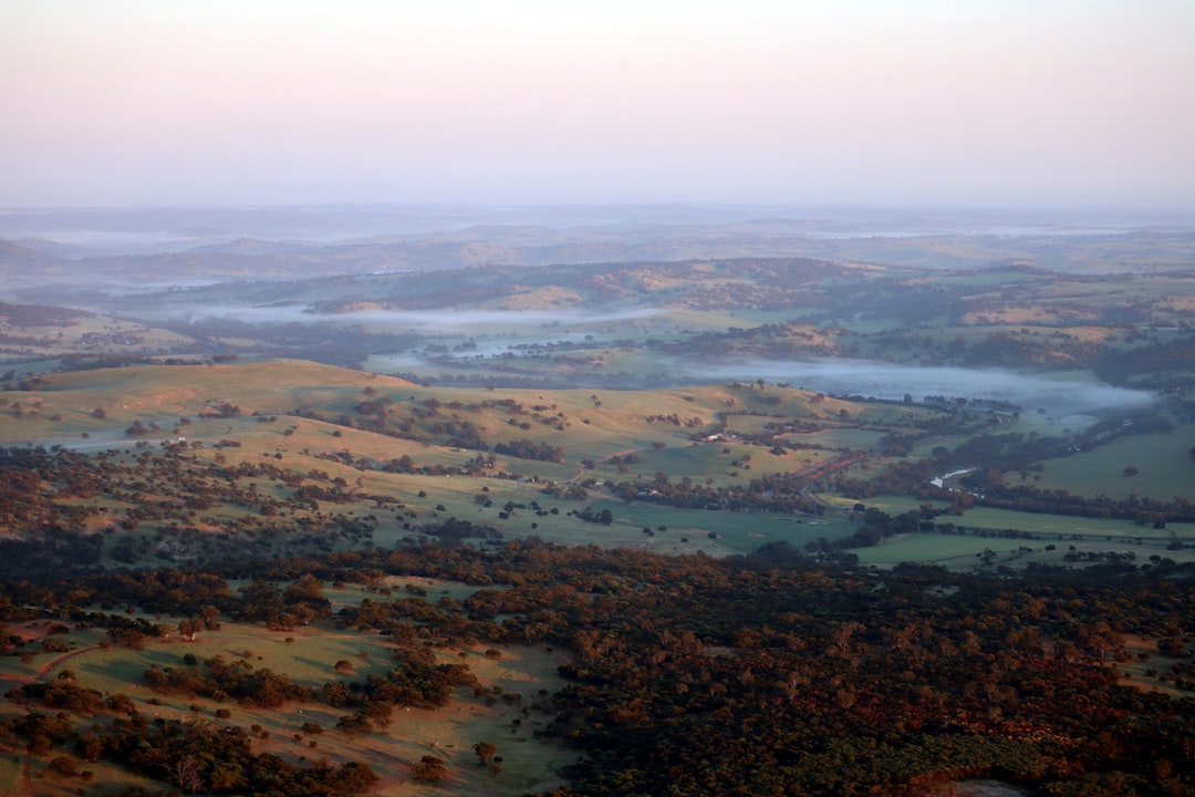 John Heinz National Wildlife Refuge wetlands at sunrise with diverse birdlife