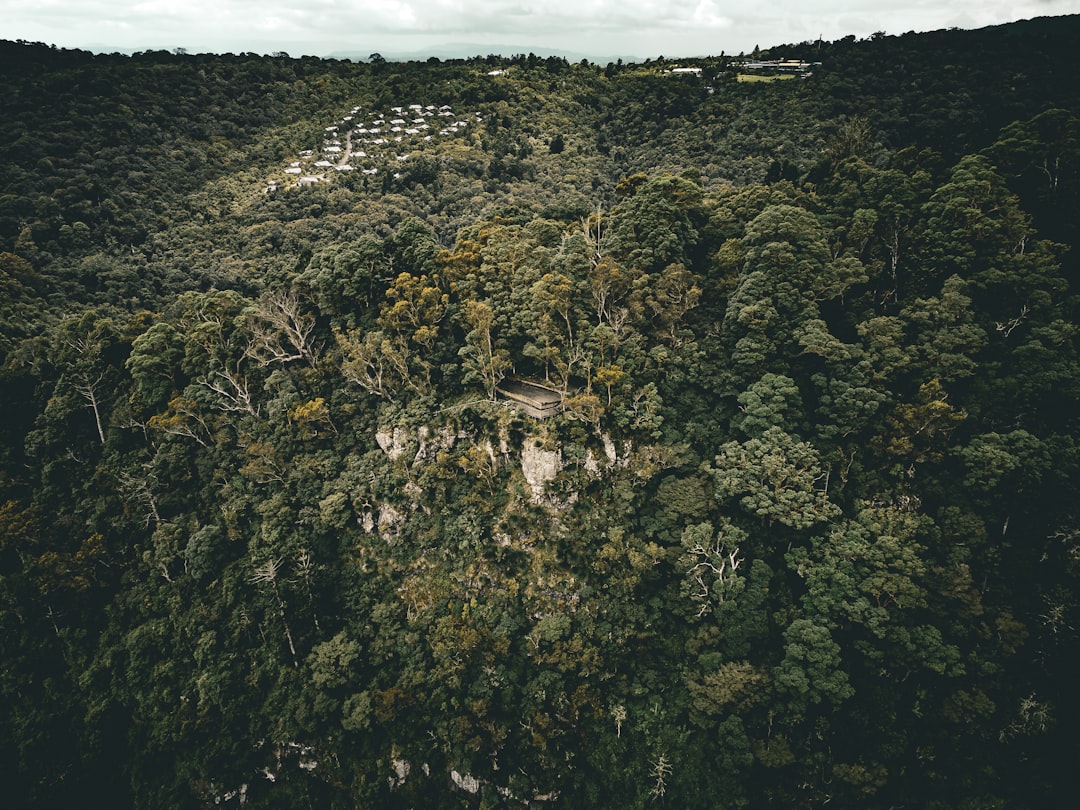Lee G. Simmons Safari Park entrance aerial with Nebraska woodland