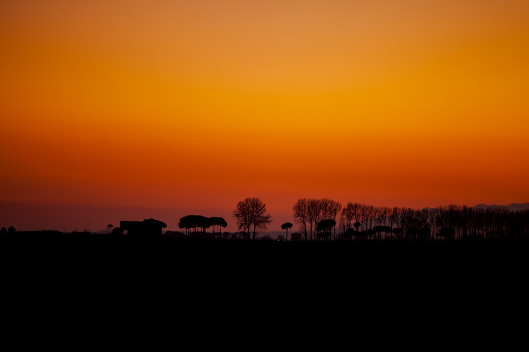 Sunset at Sharkarosa Ranch with silhouettes of wildlife in the field