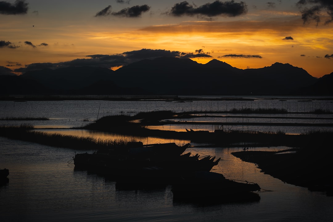 Sunset over marshlands with wading birds at Pelican Island Wildlife Preserve
