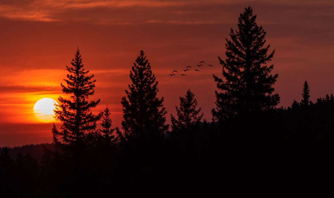 Vermont Green Mountains sunset with tranquil wildlife setting