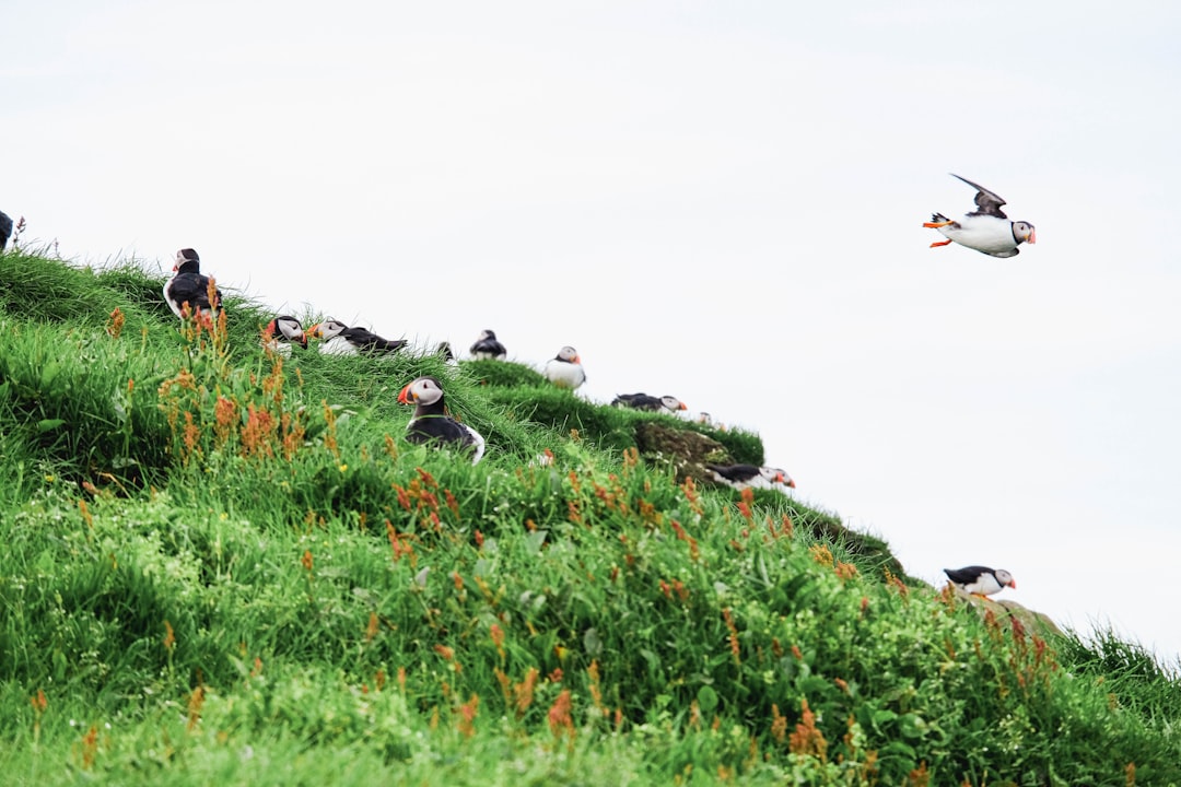 Wildlife photographer on a boardwalk photographing birds at Heard sanctuary