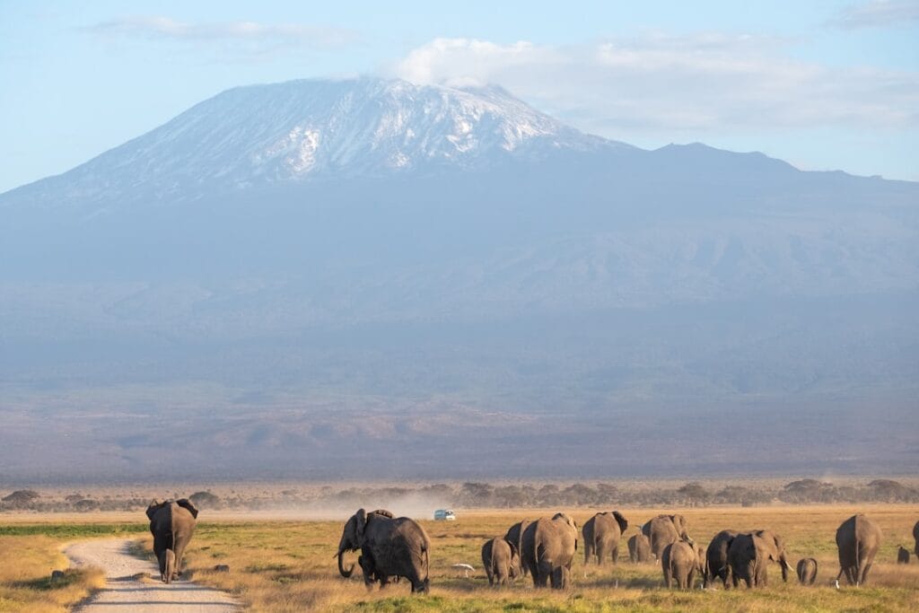 best wildlife destinations 2025