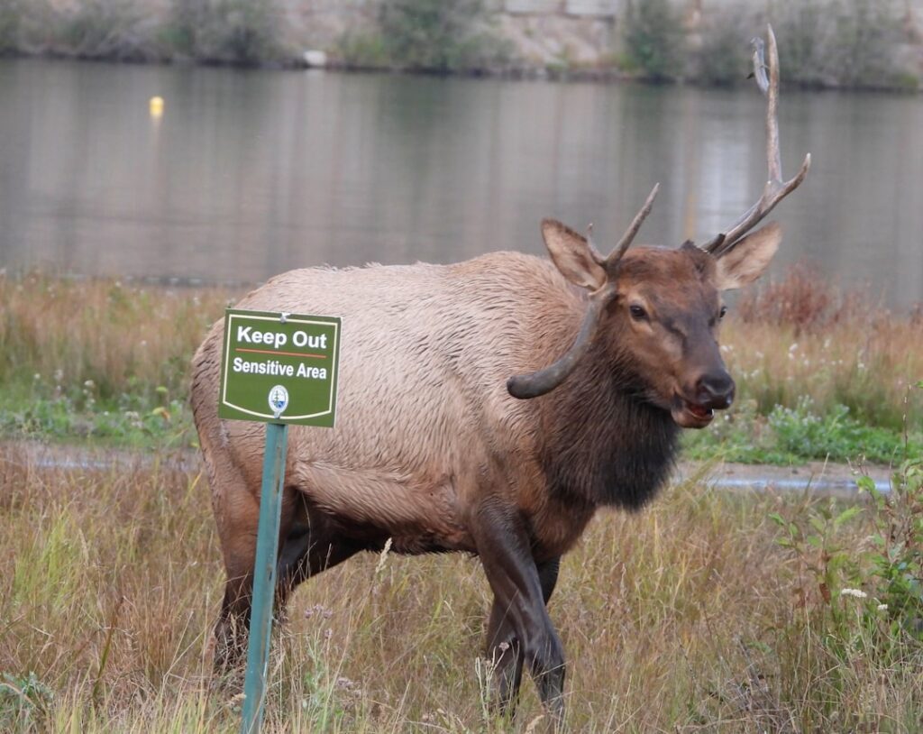 don edwards national wildlife refuge