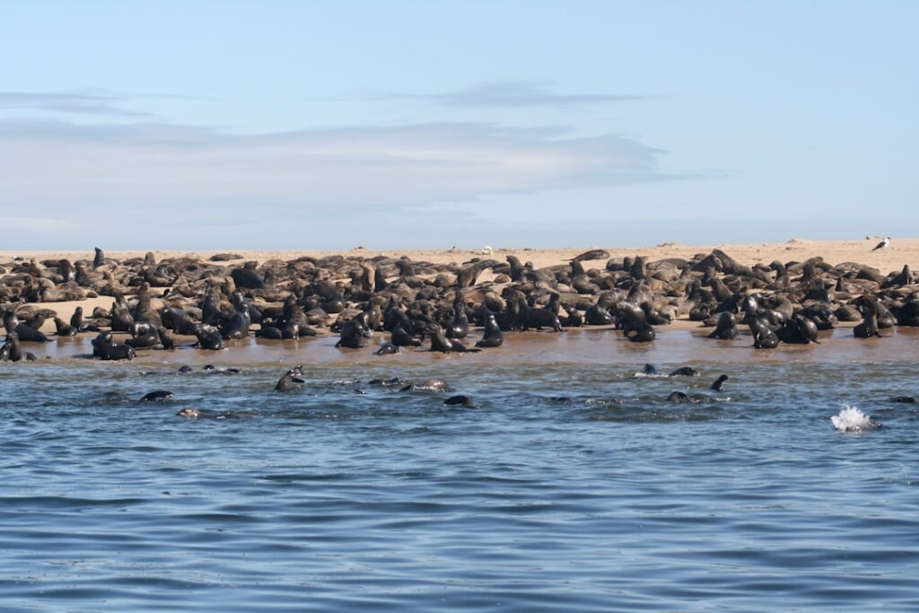 grizzly island wildlife area