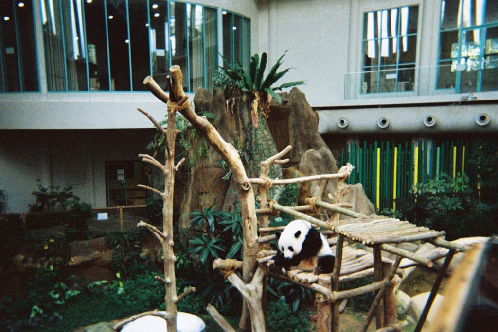 heard natural science museum and wildlife sanctuary