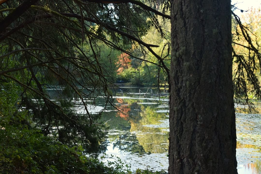 kayaking golden hour magnolia branch wildlife reserve camping