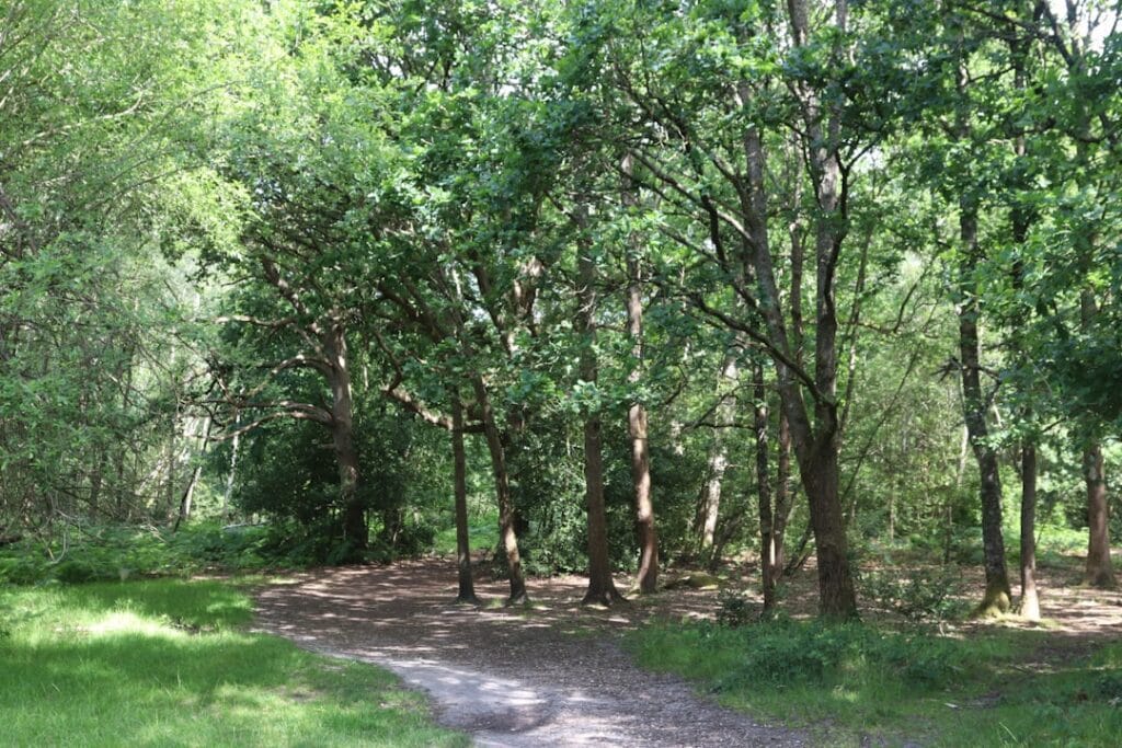 magnolia branch wildlife reserve camping