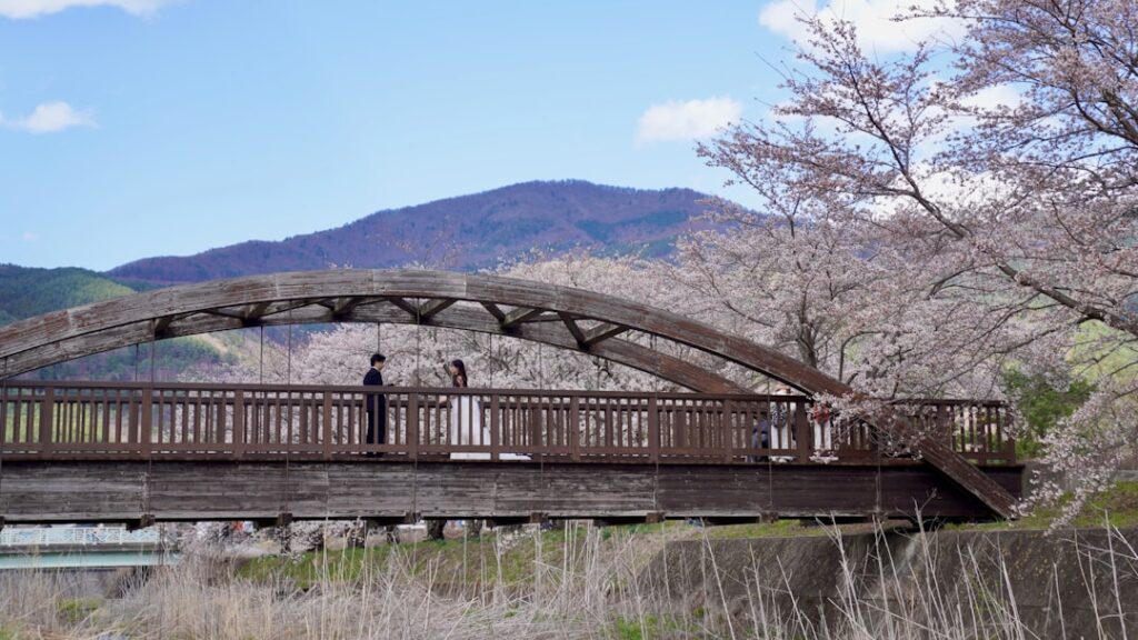 natural bridge wildlife ranch tickets