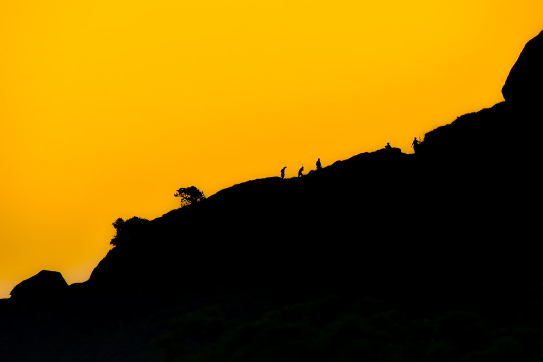 photographers on wooden boardwalk at don edwards national wildlife refuge during colorful sunset