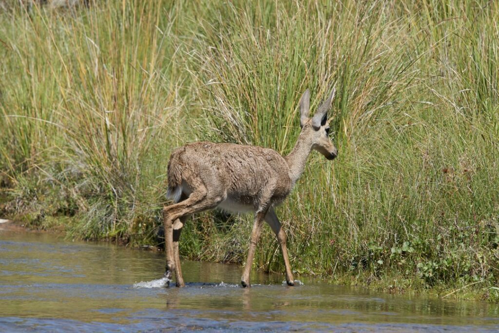 sherburne national wildlife refuge
