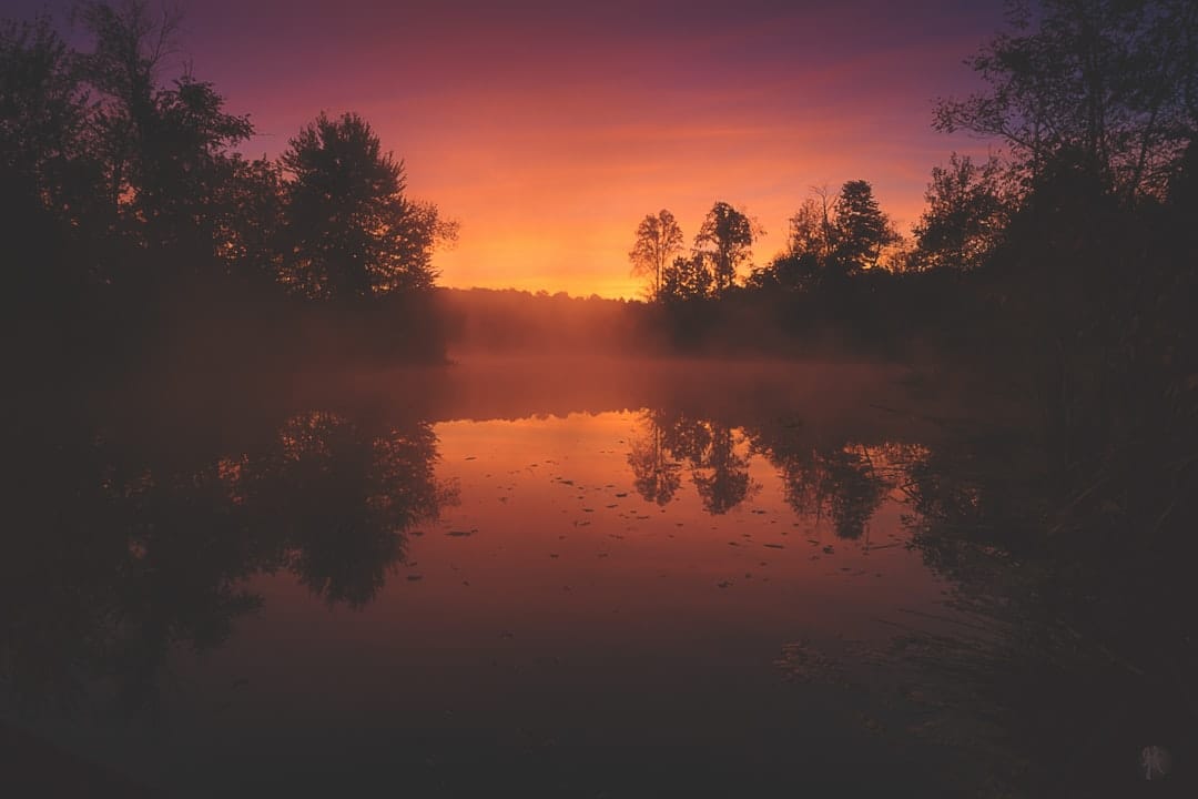 sunrise magnolia branch wildlife reserve camping by big escambia creek