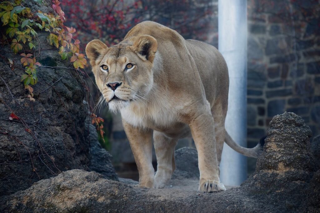 wildlife exposition charleston sc