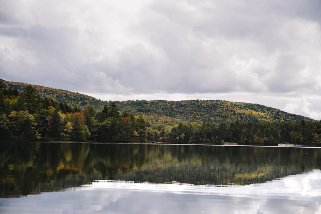 Stunning fall foliage colors at a scenic spot in Maine.