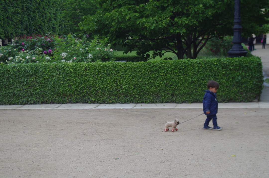 Wildlife near Paris squirrel in park